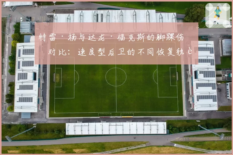 特雷·杨与达龙·福克斯的脚踝伤势对比：速度型后卫的不同恢复轨迹？