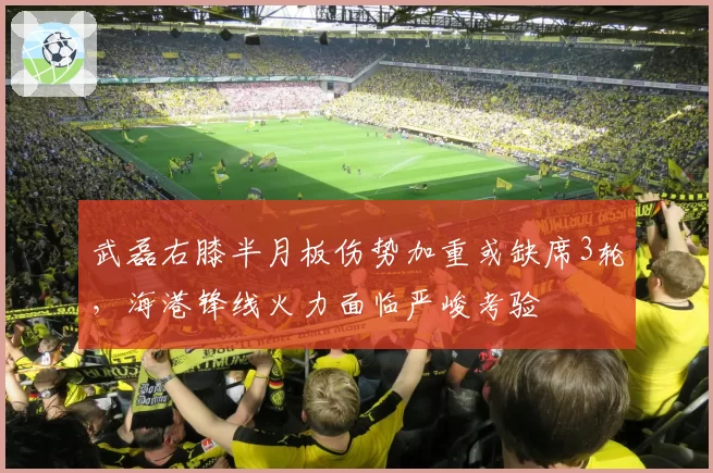 武磊右膝半月板伤势加重或缺席3轮,海港锋线火力面临严峻考验