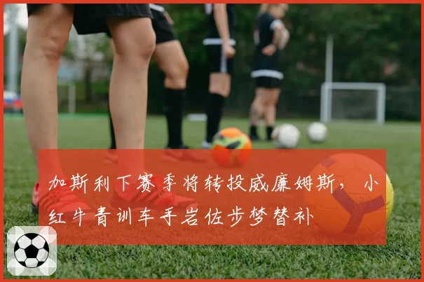 加斯利下赛季将转投威廉姆斯,小红牛青训车手岩佐步梦替补
